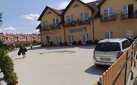 Delfin -przy plaży, widok na morze